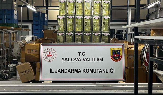 Yalova’da 33 ton sahte zeytinyağı ele geçirildi