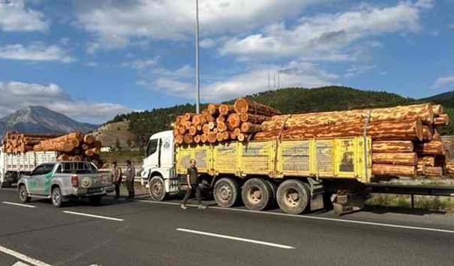 Adana'da Kara yollarında mobil orman kontrol noktaları kuruldu