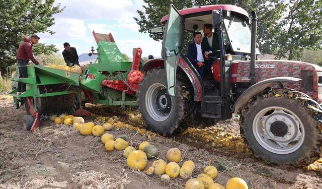 Artık Onun 'da Festivali Var. Nevşehir Kabak Çekirdeği Festivali