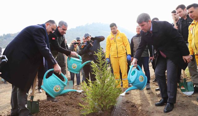 Amasya’da yüzlerce kişi “Geleceğe Nefes” olmak için fidan dikti