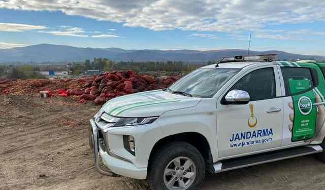 Amasya'da çevre kirliliğine jandarmadan operasyon