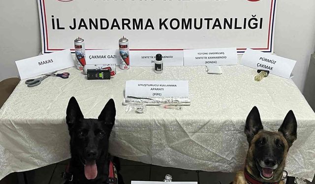 Artvin’de jandarmadan uyuşturucu operasyonu: 3 kişi tutuklandı