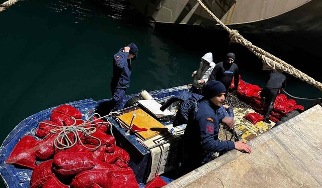 Yalova'da yasadışı midye avcılığına baskın: 849 bin TL para cezası