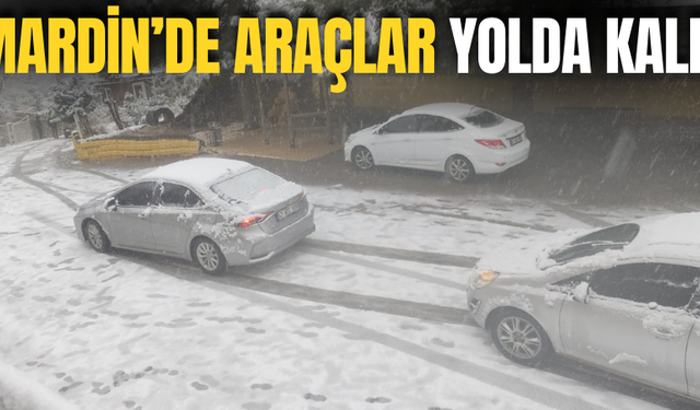 Mardin'de araçlara kar engeli