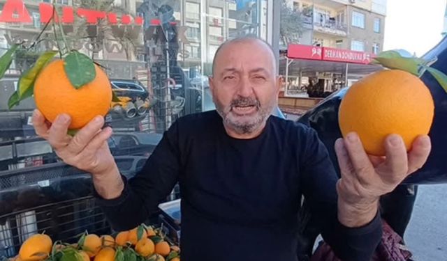 Antalya'nın dev portakalları: 3 tanesi 2 kilo geliyor