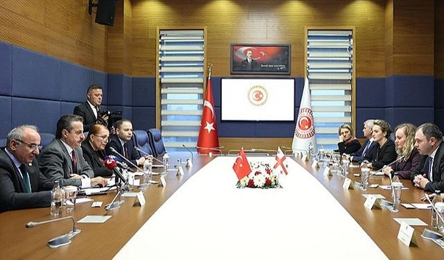 Vekil Koç, Gürcü Parlamenterlere Ardahan'ın taleplerini iletti