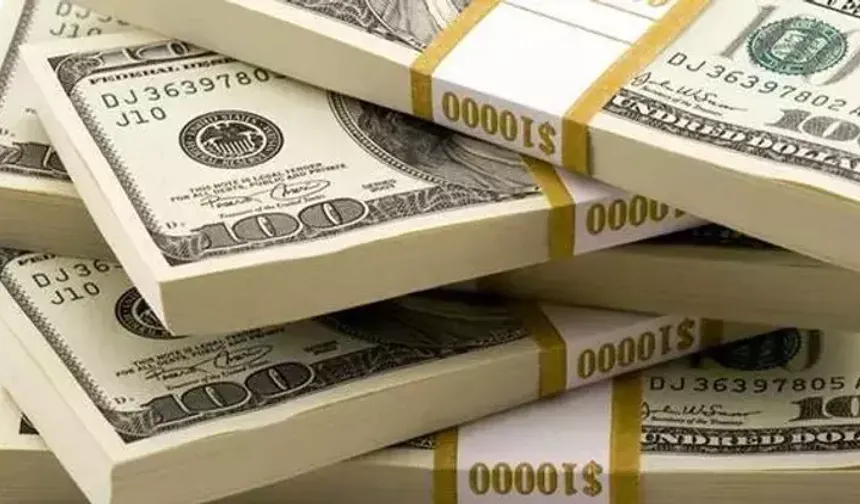 Kısa vadeli dış borç stoku ağustosta 169,8 milyar dolara geriledi