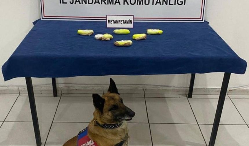 Kars'ta arama köpeği “Tabya” zehir tacirlerine geçit vermiyor!