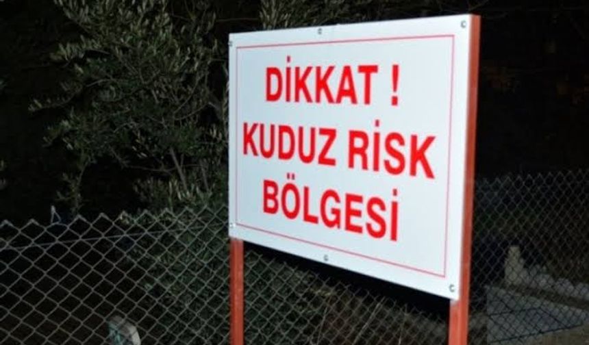 Adıyaman'da kuduz alarmı: Köseceli beldesi karantinada!