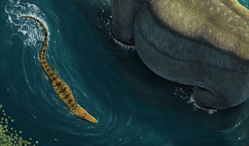 Dinozor avcısı timsah Deinosuchus’un gizemi çözüldü