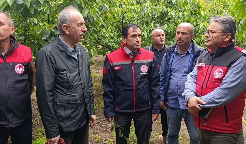 Tarım uzmanları Amasya’da don hasarını yerinde inceledi