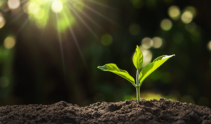 Bitki koruma ürünlerinde satış ve kullanım elektronik takibe alınıyor