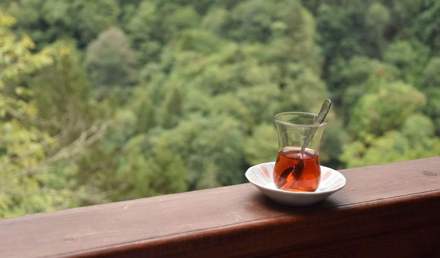 Rize'den 4 ayda 5,5 milyon dolarlık çay ihracatı