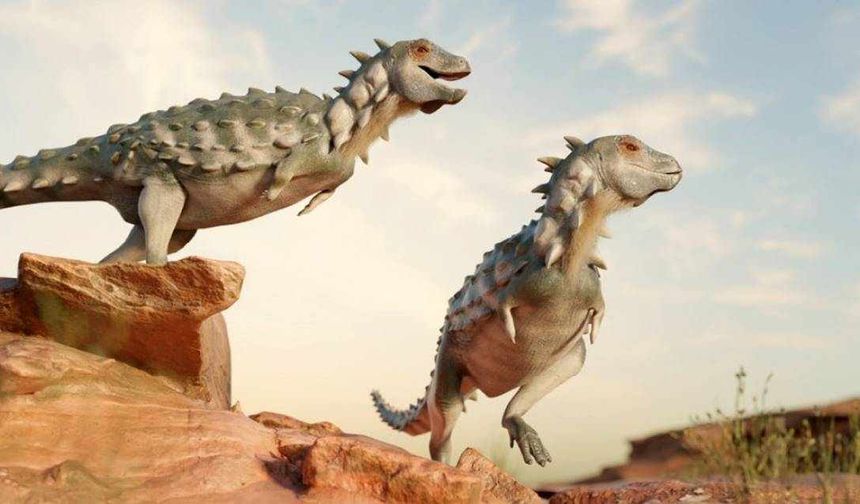 Dinozor fosilleri, kanser araştırmalarında yeni bir dönem başlatabilir