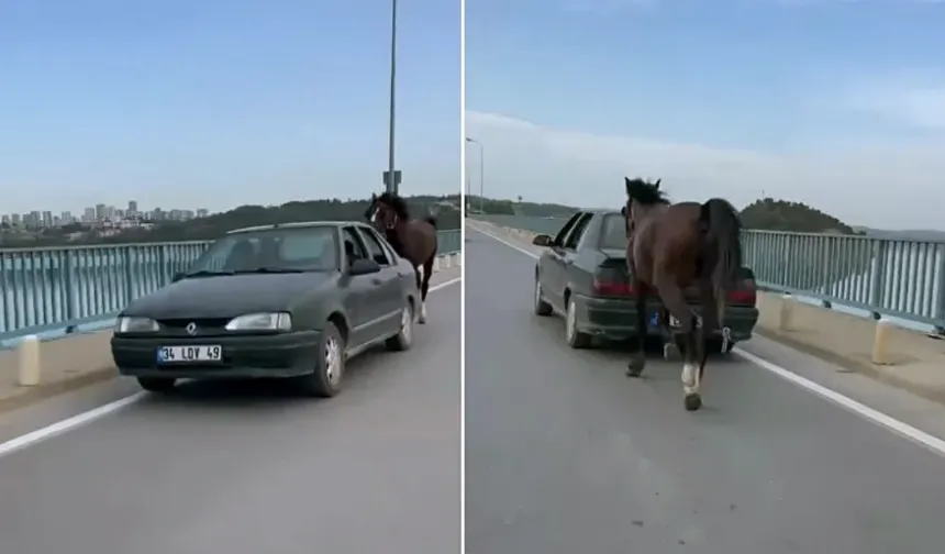 Otomobile bağladığı at ile ilerleyen 2 kişi gözaltına alındı