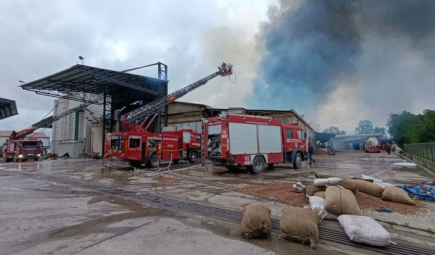 Son dakika... Sakarya’da fındık fabrikasında yangın