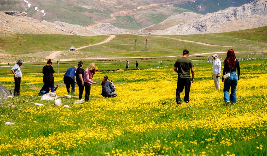 Alanya basını doğa ve kültürle bütünleşti!
