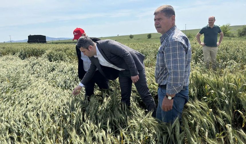CHP Keşan AK Partilileri tarlaya davet etti!