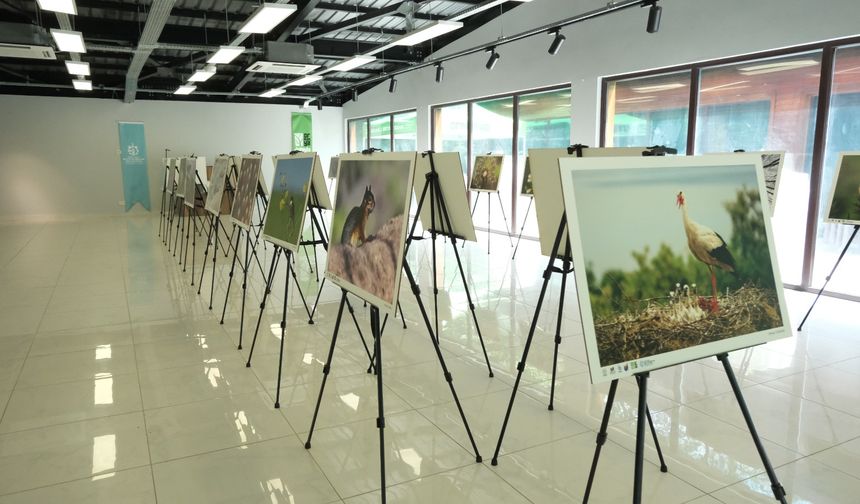 Türkiye’nin doğal güzellikleri Ormanya’da hayat buluyor