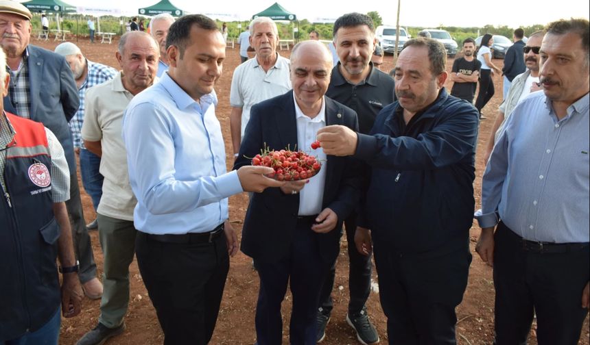 Mardin Ömerli'de doğa ve kültür buluştu