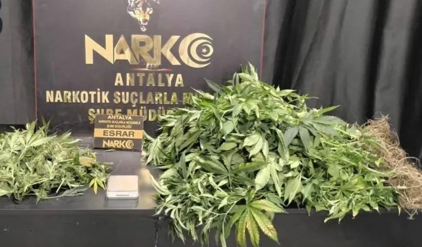 Antalya’da zehir tacirlerine darbe: 113 şüpheli gözaltında