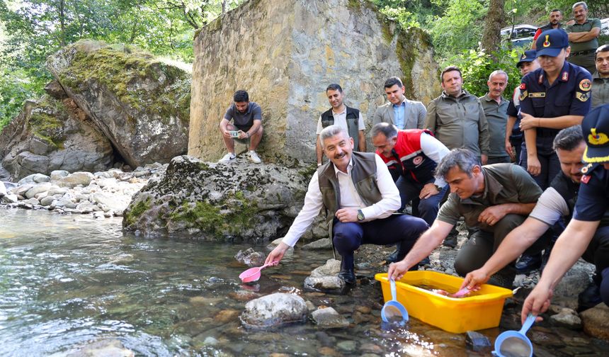 Artvin'de Hatila Vadisi Milli Parkı'ndaki dereye 5 bin alabalık yavrusu bırakıldı