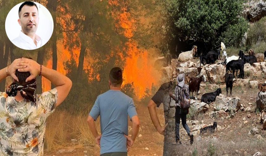 Bir kara keçinin yokluğu bin ağaç yakar