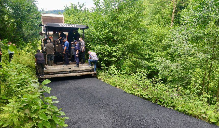 Artvin Valisi Ergün, Arhavi’de incelemelerde bulundu