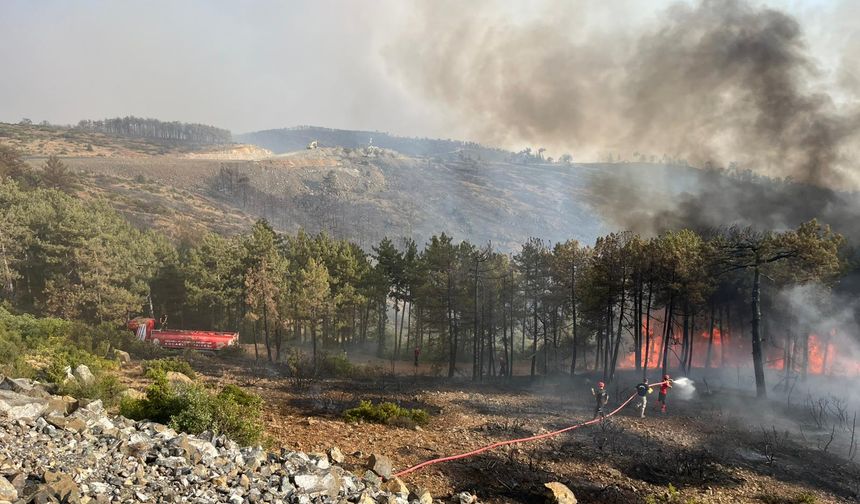 Kocaeli Büyükşehir Belediyesi'nden Bursa’daki yangına tam destek
