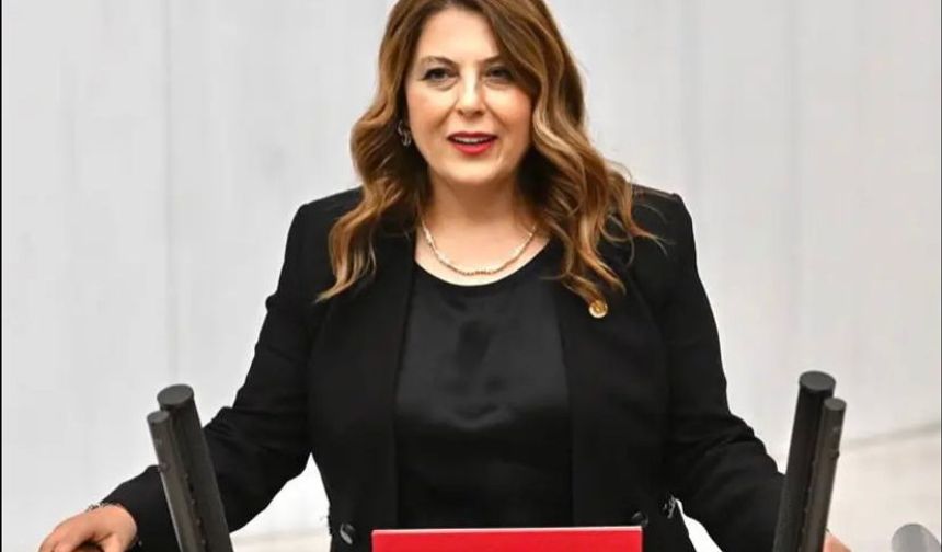 Elvan Işık Gezmiş: İlaca erişim sorunu çözülmeli