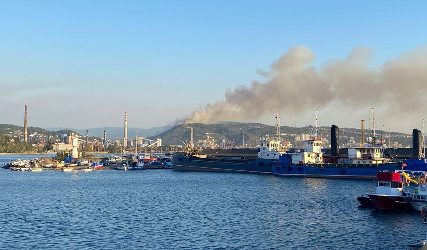 Karadeniz Ereğli'de orman yangını