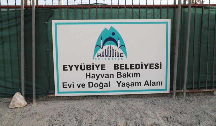 Eyyübiye, sokak hayvanları sorununu çözdü