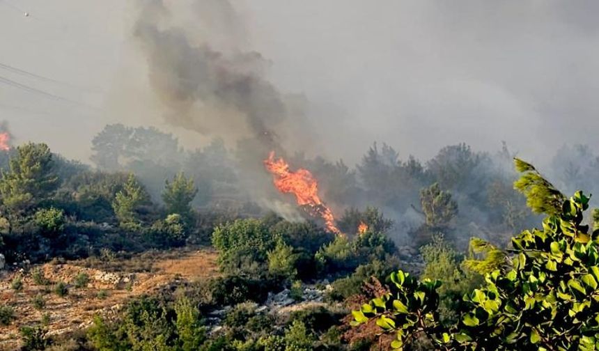 Dalaman’da otomobilden çıkan yangın ormana sıçradı: 3 dekar zarar gördü