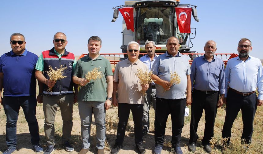 Boş araziler üretime kazandırıldı