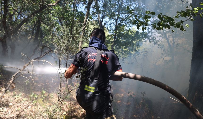 Kocaeli Büyükşehir, Karamürsel yangını için seferberlik ilan etti