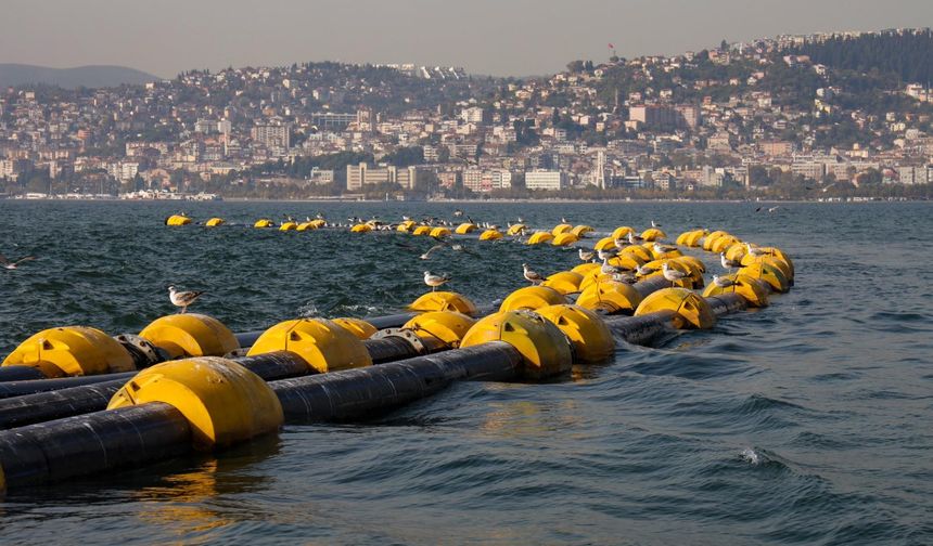 Çamur gidiyor, yeni canlılar geliyor