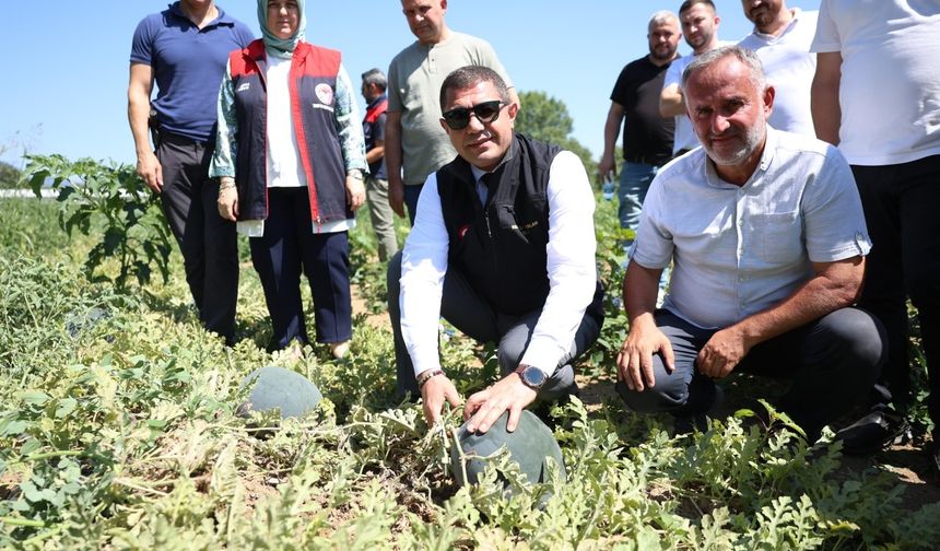 Düzce Valisi Aslan karpuz üreticisini tebrik etti