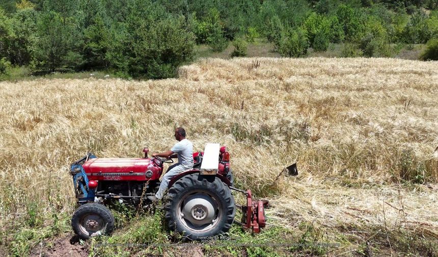 İstanbul’dan Ordu’ya uzanan çiftçilik öyküsü başarıya dönüştü