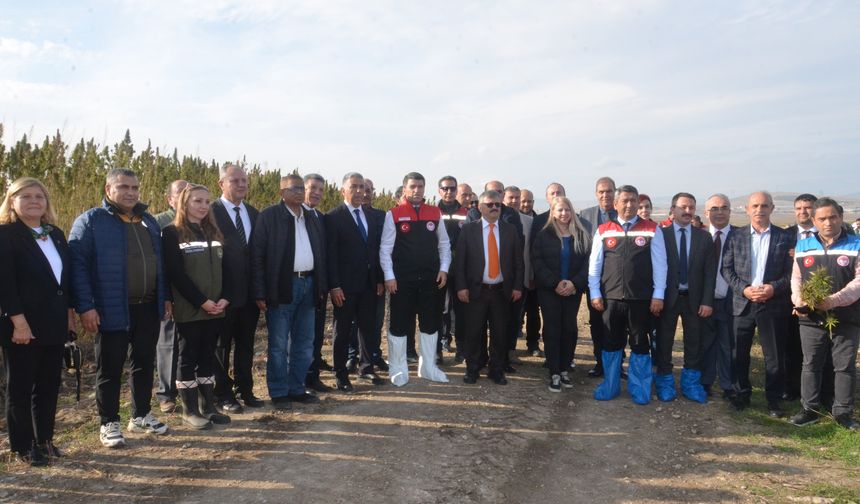 Türkiye’nin ilk yerli ve milli "Vezir Kenevirinin" hasadı Amasya’da gerçekleştirildi