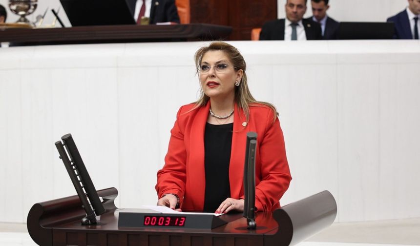 Elvan Işık Gezmiş İstiklal Madalyası için kanun teklifi verdi