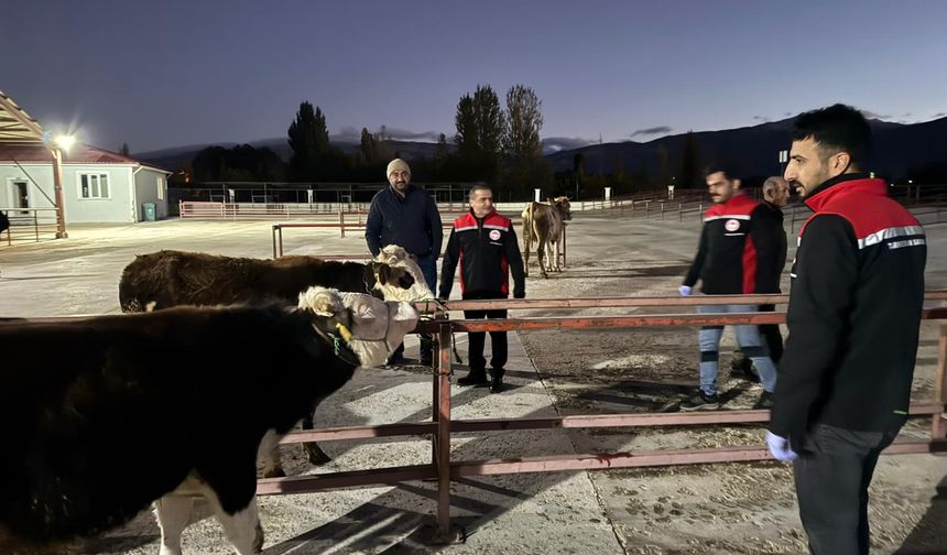 Erzincan Canlı Hayvan pazarı açıldı