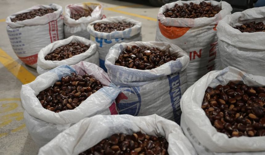 Coğrafi işaretli "Düzce Kuzu Kestane" pazarda satışta