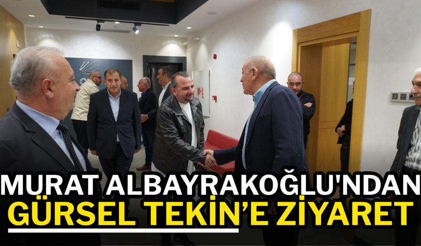 Gürsel Tekin Murat Albayrakoğlu'yla görüştü
