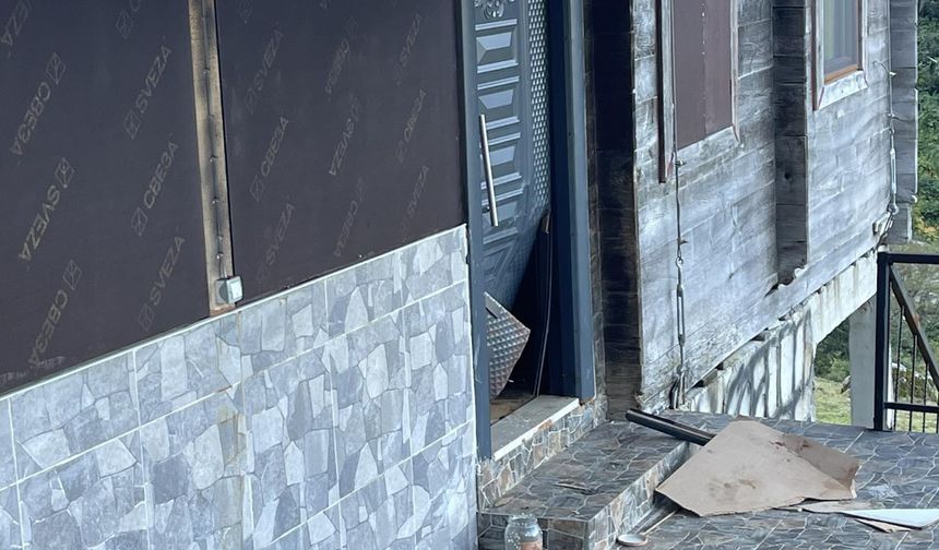 Rize'de ayı paniği