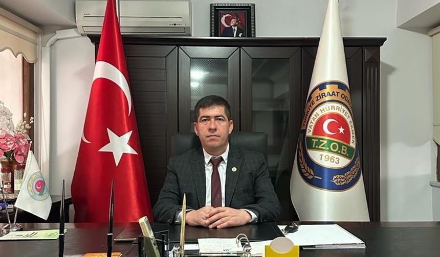 Ezine peynirinde büyük tehlike: “Süt üretimi düşüyor, coğrafi işaret risk altında”