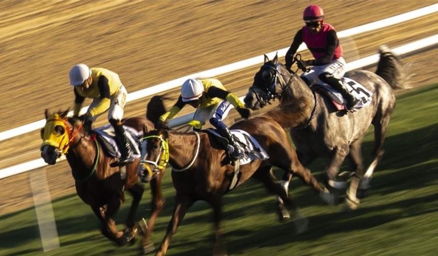 87. Cumhurbaşkanlığı Koşusu’nu  Grande Flusso kazandı