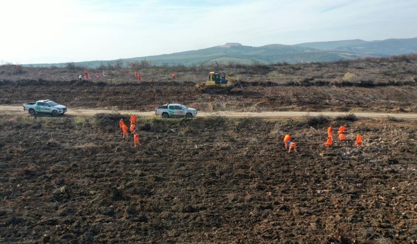 “Alev savaşçıları” bu kez yangın alanları yeniden yeşillendiriliyor