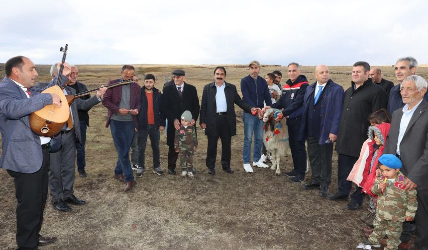 Kars'ta "Koç Katım Geleneği" coşkuyla sürdürülüyor