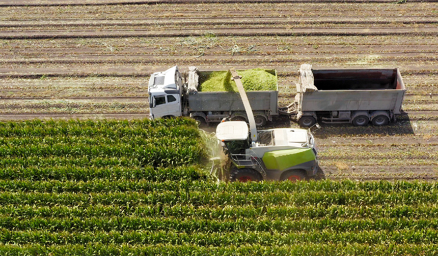 306 milyon liralık tarımsal destekleme ödemesi gerçekleşt
