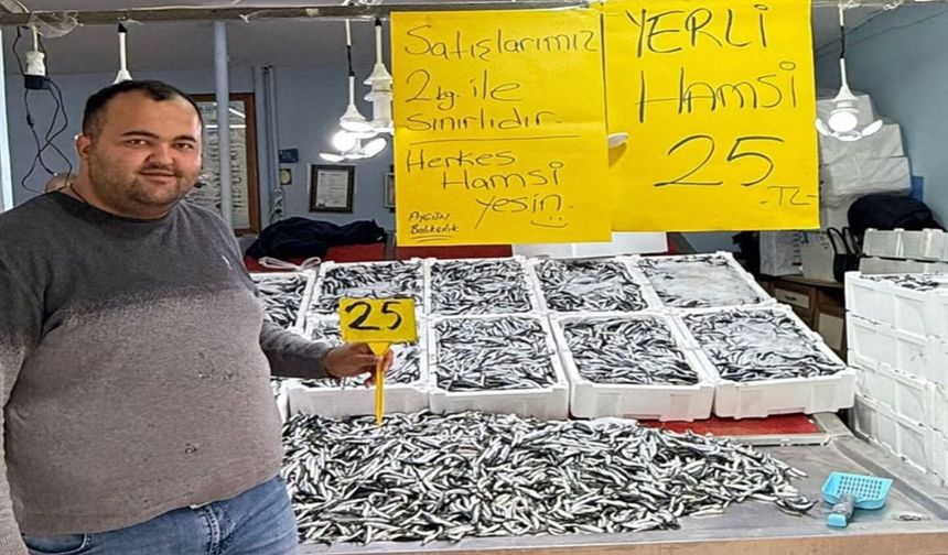 Fatsa’da hamsi fiyatı 20 TL’ye düşebilir